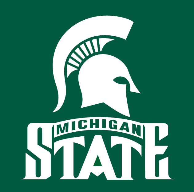 Michigan State Spartans 1987-Pres Alternate Logo v2 iron on transfers for clothing